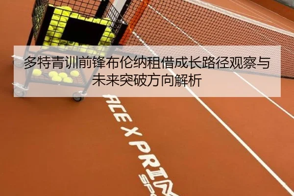 多特青训前锋布伦纳租借成长路径观察与未来突破方向解析